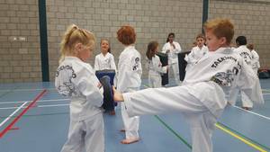taekwondo-chong-do-kwan-training-1